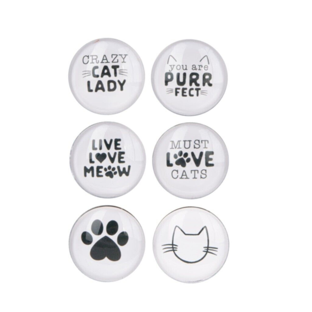Set of 6 cute cat lover fridge magnets