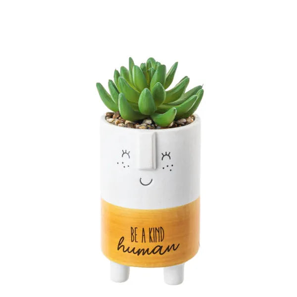 Cute Kindness Pot With Artificial Plant & Inspirational Message - Be Kind