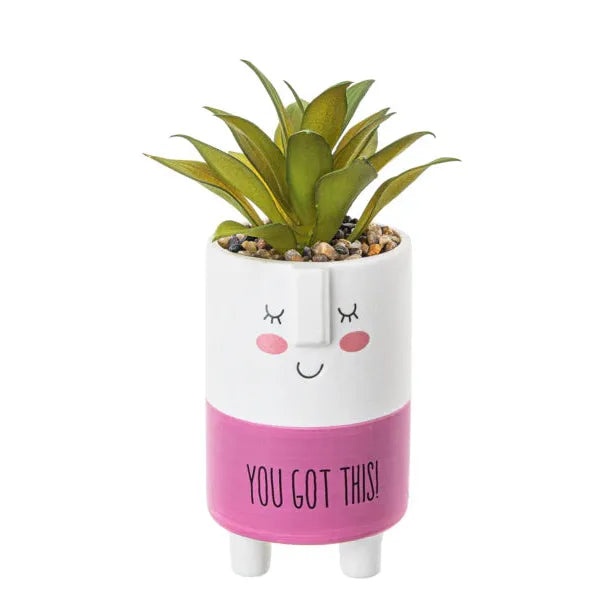 Cute Kindness Pot With Artificial Plant & Inspirational Message - Got This