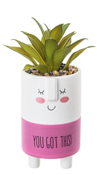 Cute kindness pot with artificial plant and Got This message
