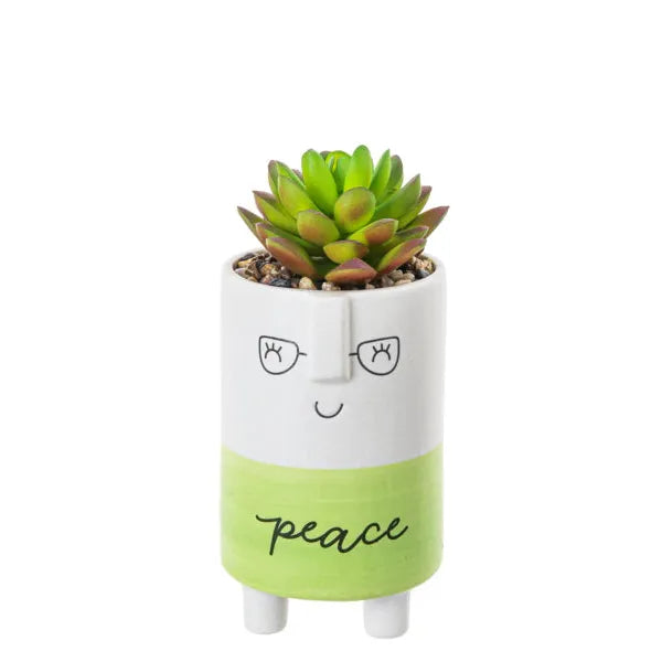 Cute Kindness Pot With Artificial Plant & Inspirational Message - Peace