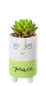 Cute kindness pot with artificial plant and Peace message